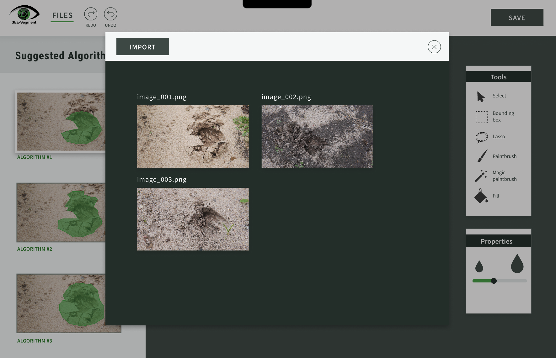 Screenshot of import page on SEE-Insight prototype